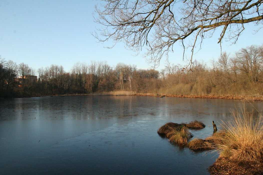 Laghi....della LOMBARDIA